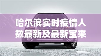 哈尔滨实时疫情人数最新及最新宝来隐藏解析