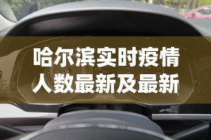 哈尔滨实时疫情人数最新及最新宝来隐藏解析