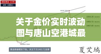 关于金价实时波动图与唐山空港城最新规划图的深度解读及策略警示