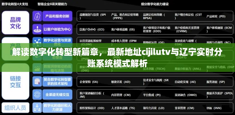 解读数字化转型新篇章,最新地址cijilutv与辽宁实时分账系统模式解析