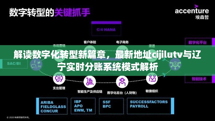 解读数字化转型新篇章,最新地址cijilutv与辽宁实时分账系统模式解析