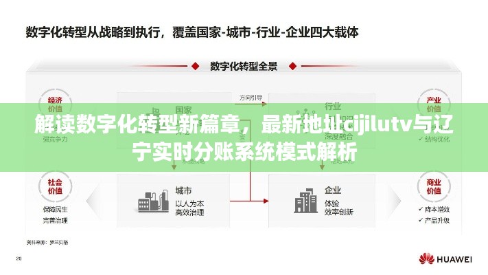 解读数字化转型新篇章,最新地址cijilutv与辽宁实时分账系统模式解析