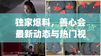 独家爆料,善心会最新动态与热门视频新闻揭秘——明星同款背后的故事