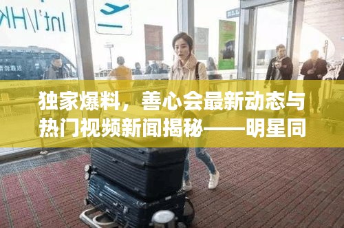 独家爆料,善心会最新动态与热门视频新闻揭秘——明星同款背后的故事