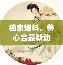独家爆料,善心会最新动态与热门视频新闻揭秘——明星同款背后的故事