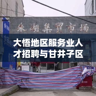 大悟地区服务业人才招聘与甘井子区疫情防控措施比较研究