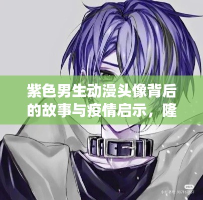 紫色男生动漫头像背后的故事与疫情启示,隆化县实时数据观察