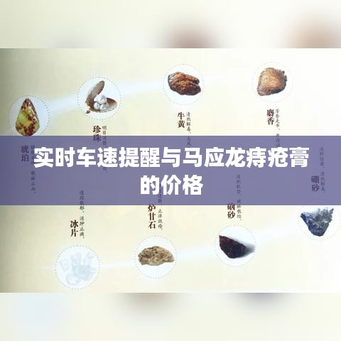 实时车速提醒与马应龙痔疮膏的价格