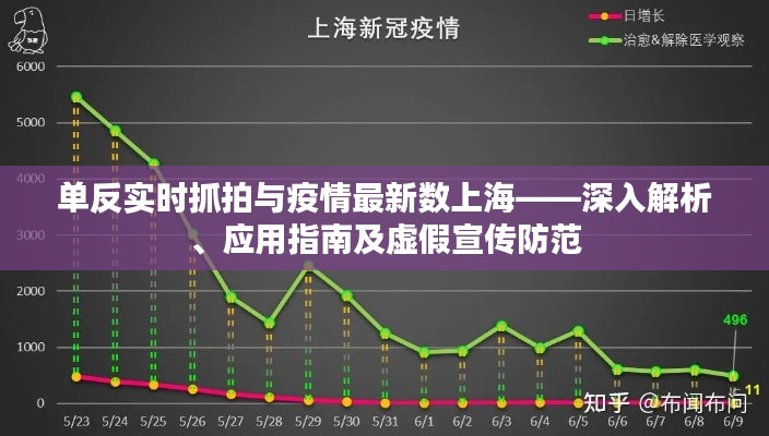 单反实时抓拍与疫情最新数上海——深入解析、应用指南及虚假宣传防范
