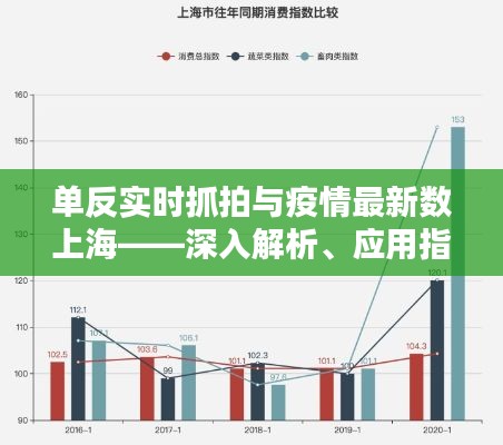 单反实时抓拍与疫情最新数上海——深入解析、应用指南及虚假宣传防范