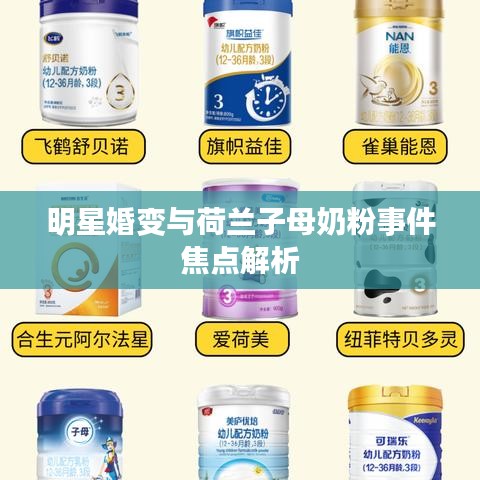 明星婚变与荷兰子母奶粉事件焦点解析