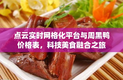 点云实时网格化平台与周黑鸭价格表,科技美食融合之旅