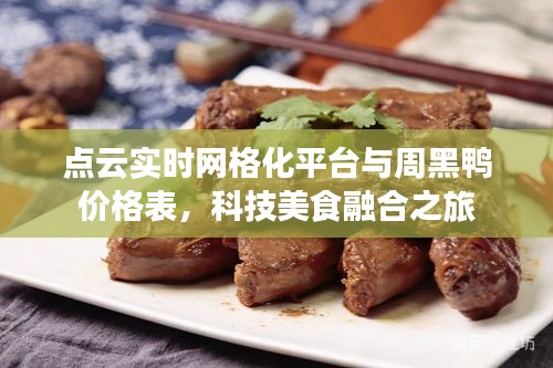 点云实时网格化平台与周黑鸭价格表,科技美食融合之旅