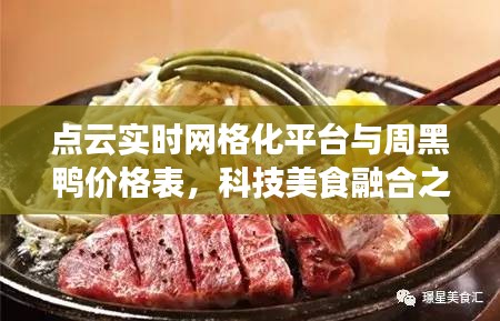 点云实时网格化平台与周黑鸭价格表,科技美食融合之旅
