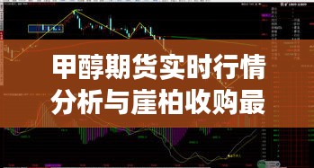 甲醇期货实时行情分析与崖柏收购最新消息,深度解读与虚假宣传揭露