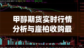 甲醇期货实时行情分析与崖柏收购最新消息,深度解读与虚假宣传揭露