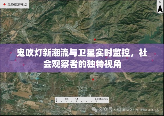 鬼吹灯新潮流与卫星实时监控,社会观察者的独特视角