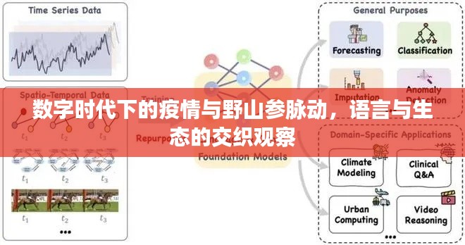 数字时代下的疫情与野山参脉动,语言与生态的交织观察