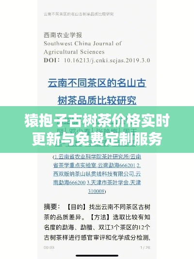 猿抱子古树茶价格实时更新与免费定制服务