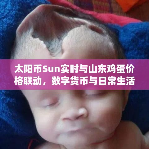 太阳币Sun实时与山东鸡蛋价格联动,数字货币与日常生活的深度交融
