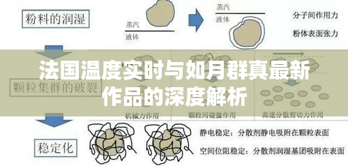 法国温度实时与如月群真最新作品的深度解析