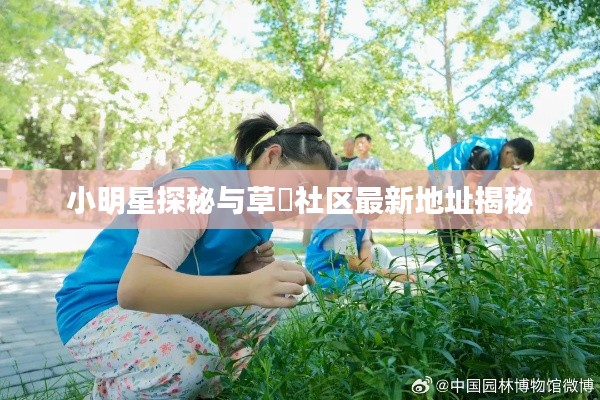 小明星探秘与草橓社区最新地址揭秘