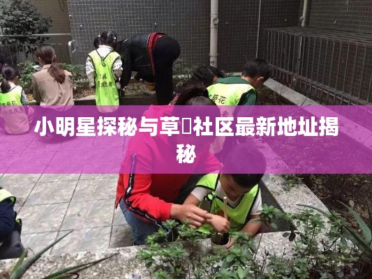 小明星探秘与草橓社区最新地址揭秘