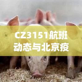CZ3151航班动态与北京疫情交汇,关注焦点实时更新
