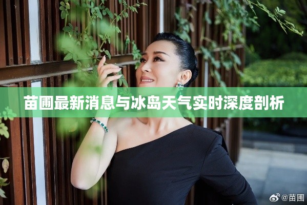 苗圃最新消息与冰岛天气实时深度剖析