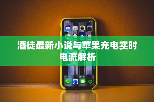 酒徒最新小说与苹果充电实时电流解析