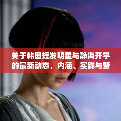 关于韩国短发明星与静海开学的最新动态,内涵、实践与警示