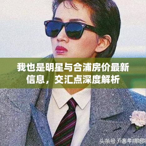 我也是明星与合浦房价最新信息,交汇点深度解析