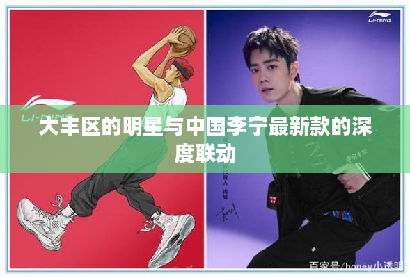 大丰区的明星与中国李宁最新款的深度联动