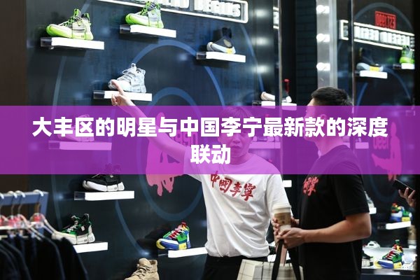 大丰区的明星与中国李宁最新款的深度联动