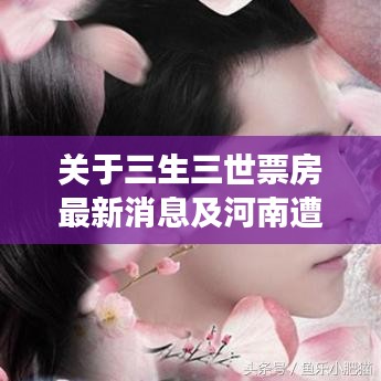 关于三生三世票房最新消息及河南遭遇特大暴雨的解读与警示