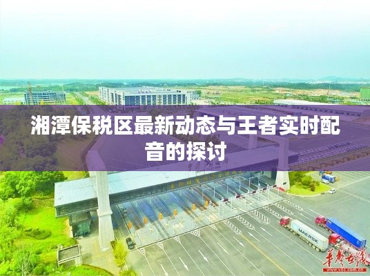 湘潭保税区最新动态与王者实时配音的探讨