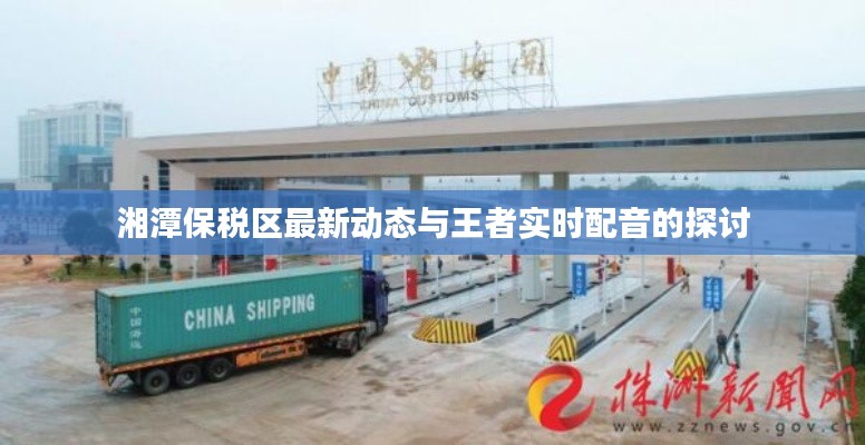 湘潭保税区最新动态与王者实时配音的探讨