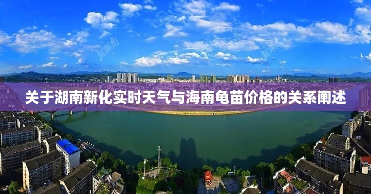 关于湖南新化实时天气与海南龟苗价格的关系阐述