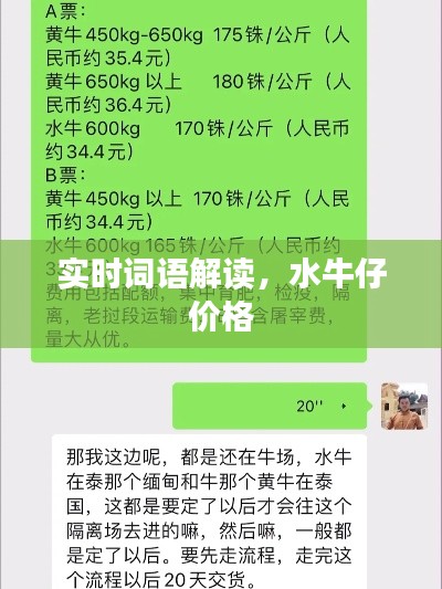 实时词语解读,水牛仔价格