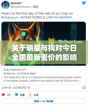 关于明星与狗对今日全国最新蛋价的影响深度剖析