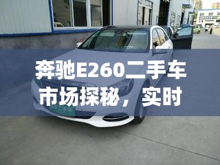 奔驰E260二手车市场探秘，实时监控与回放详解