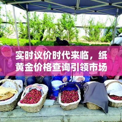 实时议价时代来临，纸黄金价格查询引领市场风向标