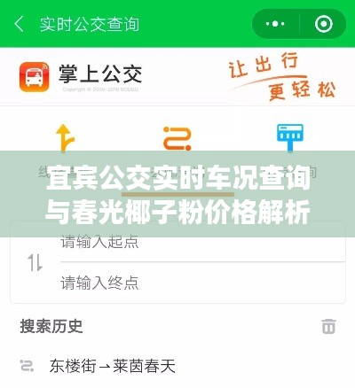 宜宾公交实时车况查询与春光椰子粉价格解析