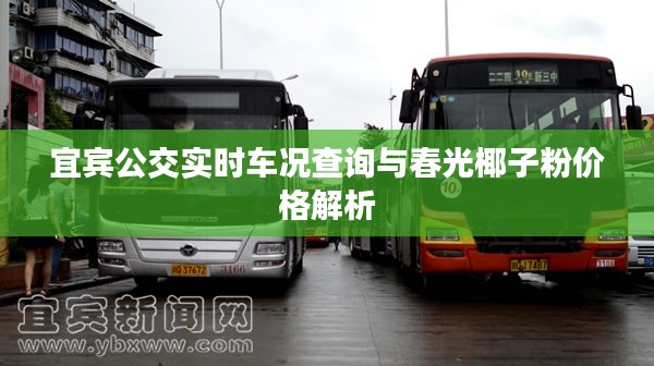宜宾公交实时车况查询与春光椰子粉价格解析