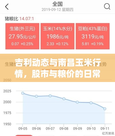 吉利动态与南昌玉米行情，股市与粮价的日常观察分析