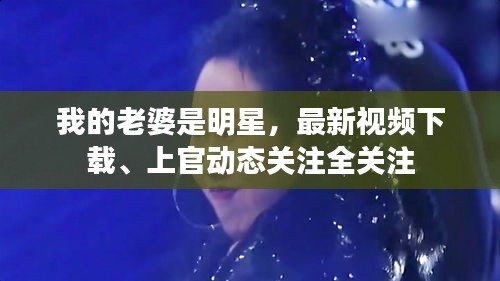 我的老婆是明星，最新视频下载、上官动态关注全关注