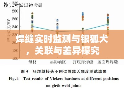 焊缝实时监测与银狐犬,关联与差异探究