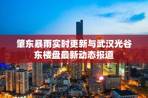 肇东暴雨实时更新与武汉光谷东楼盘最新动态报道