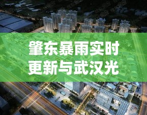 肇东暴雨实时更新与武汉光谷东楼盘最新动态报道