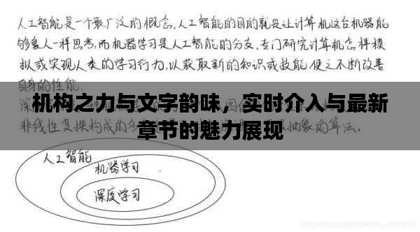 机构之力与文字韵味，实时介入与最新章节的魅力展现